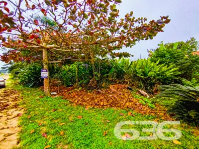 Terreno / Lote / Condomínio à venda, 300m² no Praia do Ervino, 