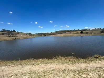 Fazenda / Sítio / Chácara com 3 Quartos à venda, 298000m² no , Sairé