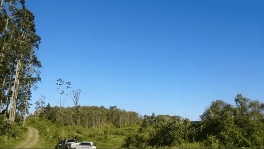 Fazenda / Sítio / Chácara com 3 Quartos à venda, 5081330m² no Centro, Campo Largo