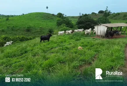 Fazenda / Sítio / Chácara à venda, 416m² no , Bernardo Sayão