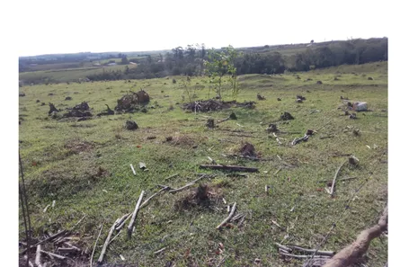 Fazenda / Sítio / Chácara com 1 Quarto à venda, 47m² no Vila Cesari Purgato, Mombuca