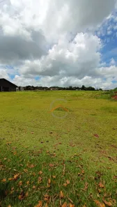 Terreno / Lote / Condomínio com 1 Quarto à venda, 1475m² no , Sertanópolis
