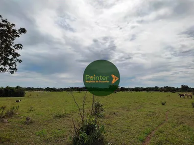 Fazenda / Sítio / Chácara à venda, 13552000m² no , Formoso do Araguaia