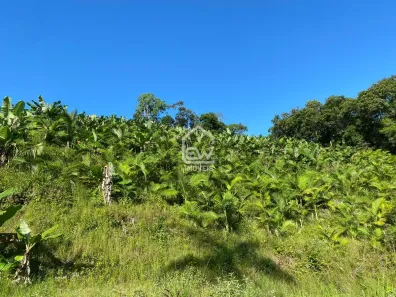 Fazenda / Sítio / Chácara com 1 Quarto à venda, 101850m² no Sete de Janeiro, Massaranduba