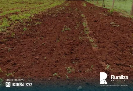 Fazenda / Sítio / Chácara à venda, 242m² no , Cristalândia