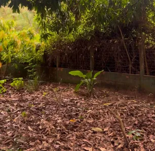 Fazenda / Sítio / Chácara com 4 Quartos à venda, 12000000m² no Centro, Altos