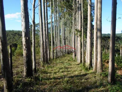 Fazenda / Sítio / Chácara com 5 Quartos à venda, 200m² no , Igaratá