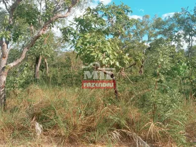 Fazenda / Sítio / Chácara à venda, 500m² no , Guaraí