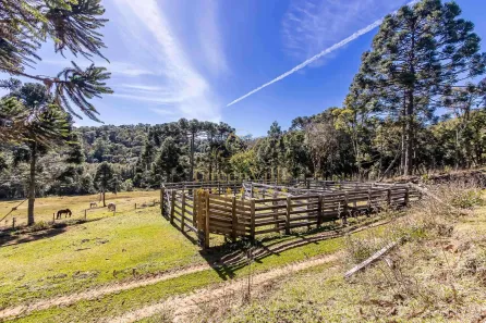 Fazenda / Sítio / Chácara com 5 Quartos à venda, 3681067m² no Zona Rural, Tijucas do Sul
