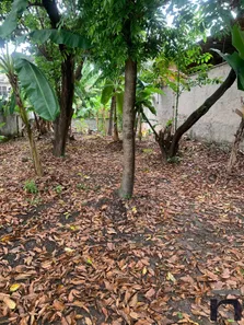 Terreno / Lote / Condomínio à venda, 500m² no Vila Rosário, Duque de Caxias