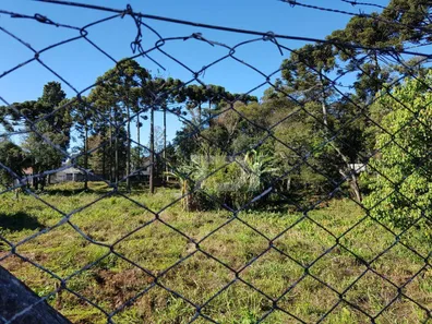 Terreno / Lote / Condomínio à venda, 5856m² no Vila Solene, Campo Largo