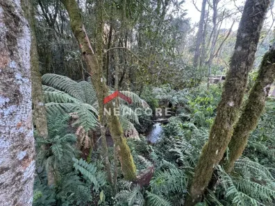 Fazenda / Sítio / Chácara com 1 Quarto à venda, 7286m² no Serrinha, Contenda