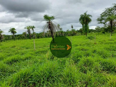 Fazenda / Sítio / Chácara com 3 Quartos à venda, 25748800m² no Parque Residencial Nova Fronteira, Gurupi