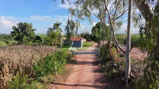 Fazenda / Sítio / Chácara com 3 Quartos à venda, 500m² no Monte Azul Paulista, Monte Azul Paulista