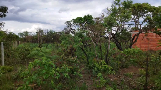 Fazenda / Sítio / Chácara com 1 Quarto à venda, 21000m² no Área Rural do Gama, Brasília