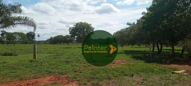 Fazenda / Sítio / Chácara à venda, 2041875m² no , Pium