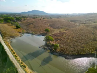 Fazenda / Sítio / Chácara com 4 Quartos à venda, 2950000m² no , Passira