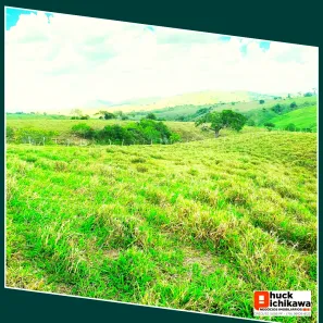 Fazenda / Sítio / Chácara à venda, 586000m² no Centro, Nossa Senhora das Dores