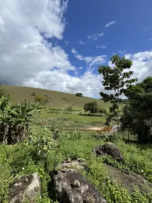 Fazenda / Sítio / Chácara à venda, 31000m² no , Joaquim Gomes