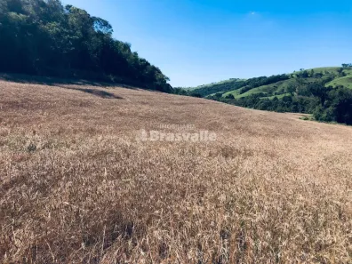 Fazenda / Sítio / Chácara à venda, 20000m² no , Catanduvas