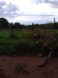 Fazenda / Sítio / Chácara à venda, 49000m² no Área Rural de Valparaíso de Goiás, Valparaíso de Goiás