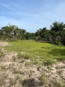 Fazenda / Sítio / Chácara à venda, 2613600m² no , Ponte Alta do Tocantins