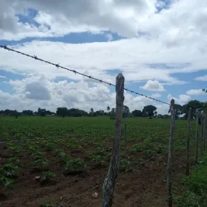 Fazenda / Sítio / Chácara com 3 Quartos à venda, 6000m² no , Vera Cruz