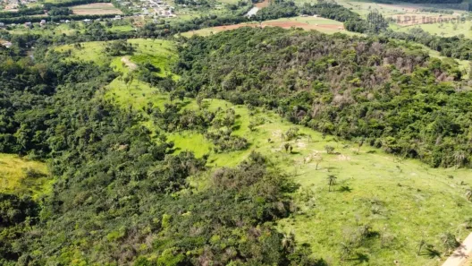 Fazenda / Sítio / Chácara com 5 Quartos à venda, 1360000m² no , São Joaquim de Bicas