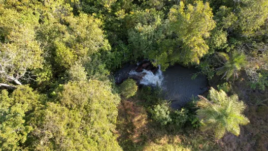 Fazenda / Sítio / Chácara com 1 Quarto à venda, 160000m² no Arapoanga, Brasília