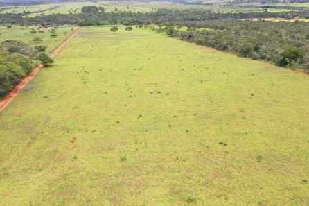 Fazenda / Sítio / Chácara à venda, 130000m² no Arapoanga, Brasília