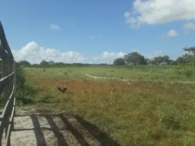 Fazenda / Sítio / Chácara com 3 Quartos à venda, 960000m² no , Vera Cruz
