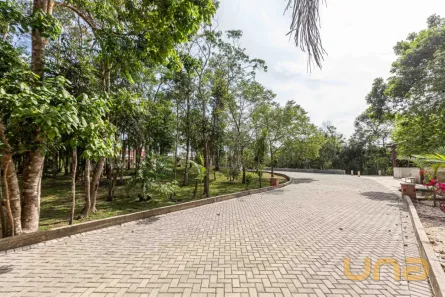 Fazenda / Sítio / Chácara com 3 Quartos à venda, 480m² no , Rio Branco do Sul