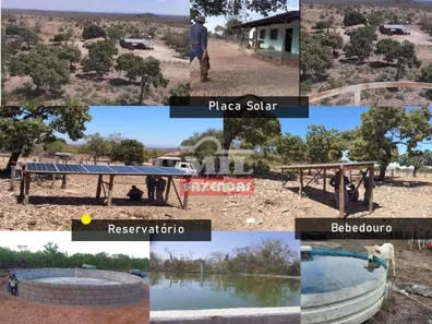 Fazenda / Sítio / Chácara à venda, 500m² no , Paranã