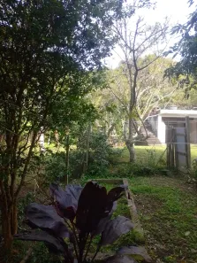 Fazenda / Sítio / Chácara com 2 Quartos à venda, 200m² no Quarta Divisão, Ribeirão Pires