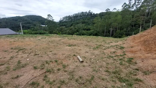 Fazenda / Sítio / Chácara com 2 Quartos à venda, 841m² no Vargem Grande, Águas Mornas