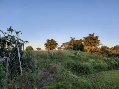 Fazenda / Sítio / Chácara com 4 Quartos à venda, 20800m² no Chácara Marambaia, Caçapava