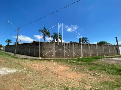 Terreno / Lote / Condomínio para alugar, 803m² no Senador Salgado Filho, Marília