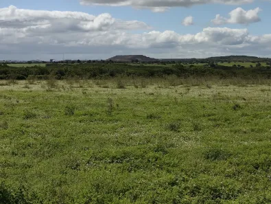 Fazenda / Sítio / Chácara à venda, 105875m² no Alto do Cruzeiro, Arapiraca