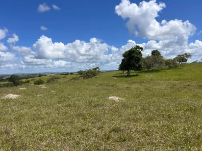 Fazenda / Sítio / Chácara à venda, 45000m² no , Sairé