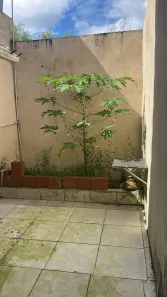 Casa com 2 Quartos para alugar, 150m² no Arembepe (Abrantes), Camaçari