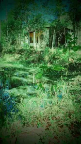 Fazenda / Sítio / Chácara com 1 Quarto à venda, 6000m² no Pitangas, Tanguá