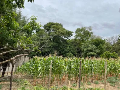 Terreno / Lote / Condomínio à venda, 1050m² no Bosque dos Pinheiros, Capivari