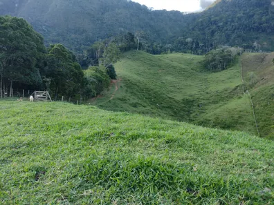 Fazenda / Sítio / Chácara com 3 Quartos à venda, 300000m² no Área Rural de Macaé, Macaé