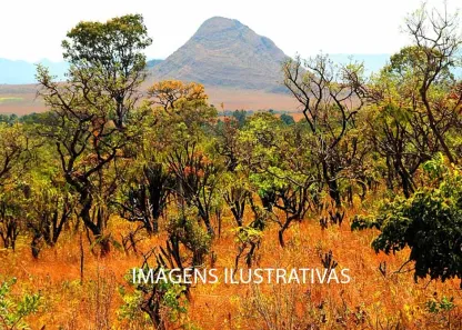 Fazenda / Sítio / Chácara à venda, 90000000m² no , Morros