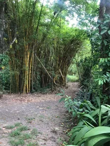 Fazenda / Sítio / Chácara à venda, 24975m² no Parque Xerém, Duque de Caxias