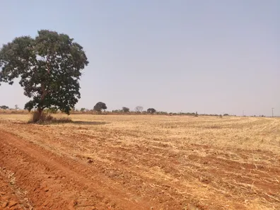 Fazenda / Sítio / Chácara à venda, 50500m² no , Brasília