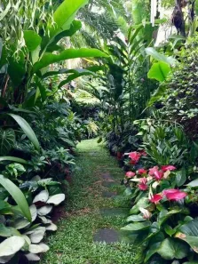 Fazenda / Sítio / Chácara com 4 Quartos à venda, 1000m² no , Alumínio