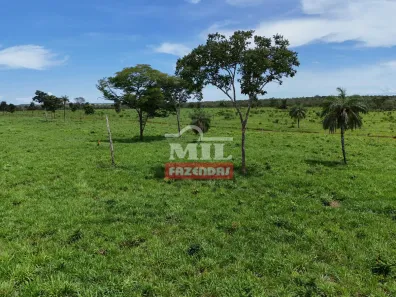 Fazenda / Sítio / Chácara à venda, 500m² no , Paranã