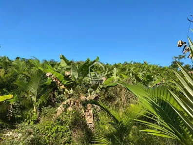 Fazenda / Sítio / Chácara com 1 Quarto à venda, 101850m² no Sete de Janeiro, Massaranduba
