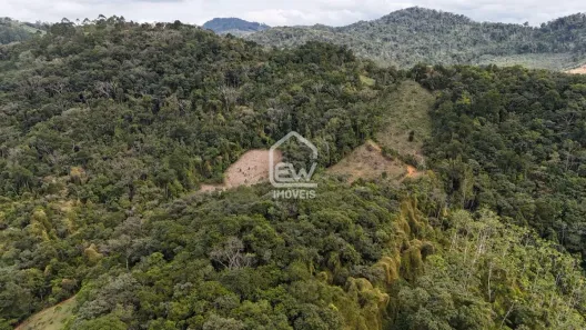 Fazenda / Sítio / Chácara com 1 Quarto à venda, 92651m² no , Massaranduba